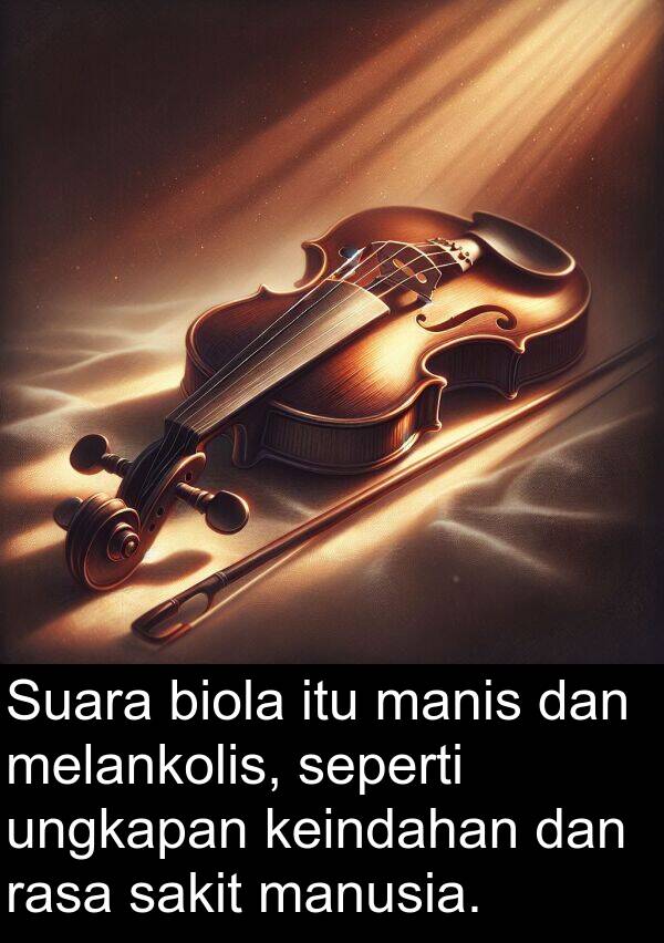 rasa: Suara biola itu manis dan melankolis, seperti ungkapan keindahan dan rasa sakit manusia.