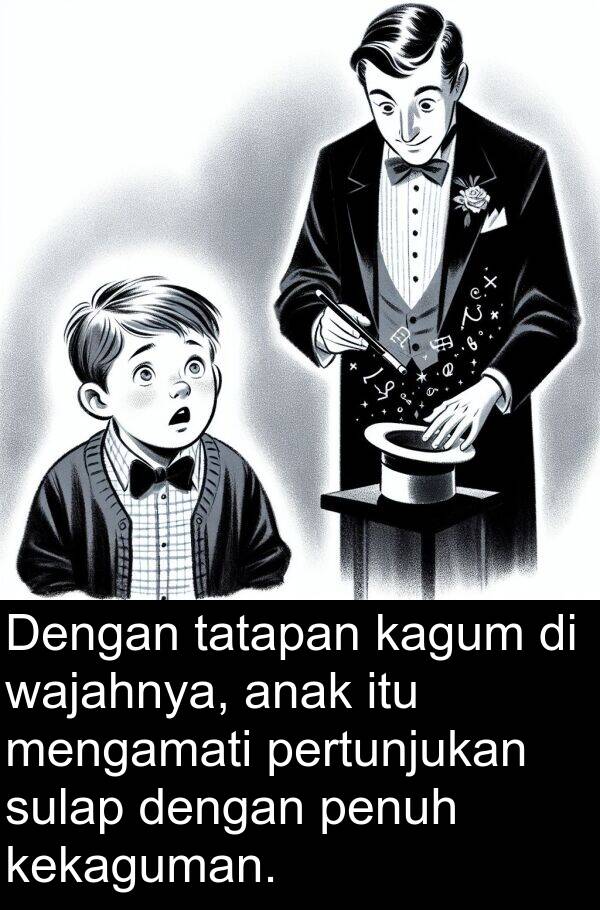 tatapan: Dengan tatapan kagum di wajahnya, anak itu mengamati pertunjukan sulap dengan penuh kekaguman.