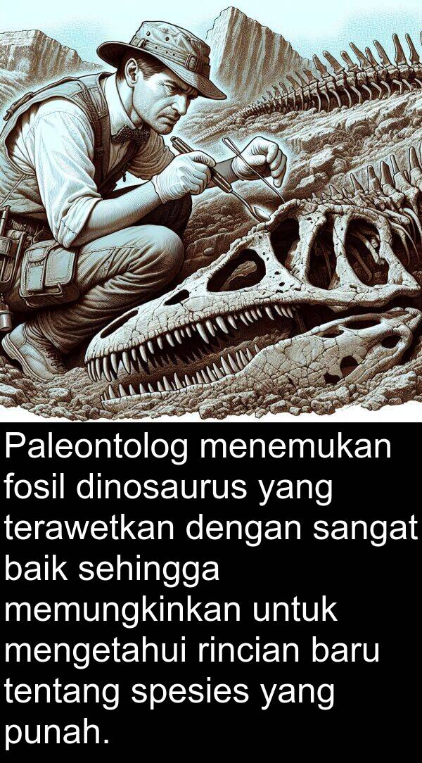 terawetkan: Paleontolog menemukan fosil dinosaurus yang terawetkan dengan sangat baik sehingga memungkinkan untuk mengetahui rincian baru tentang spesies yang punah.