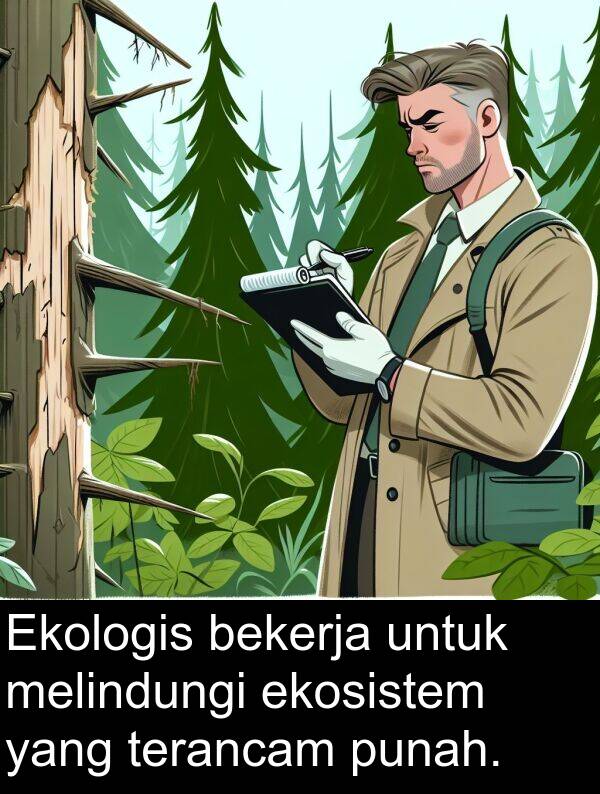 melindungi: Ekologis bekerja untuk melindungi ekosistem yang terancam punah.