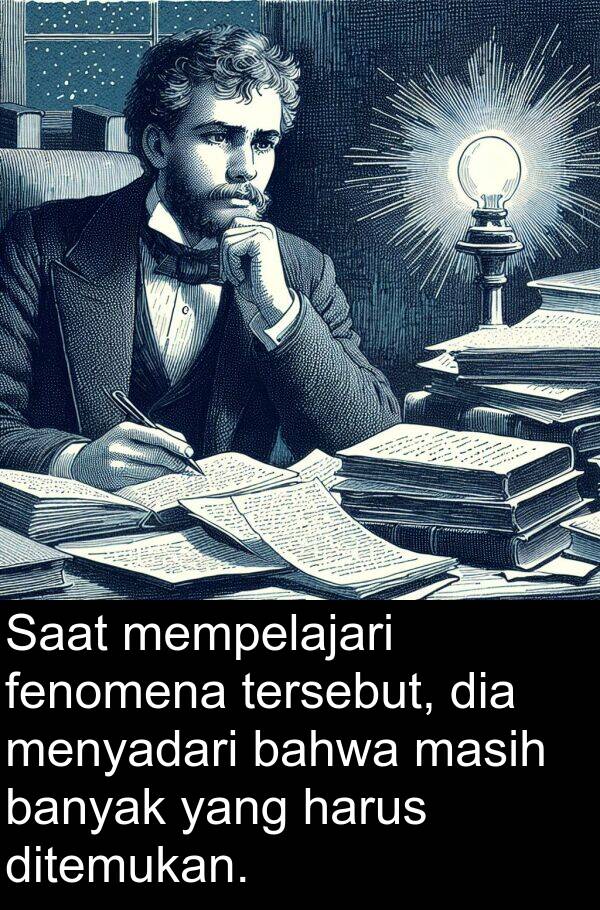 fenomena: Saat mempelajari fenomena tersebut, dia menyadari bahwa masih banyak yang harus ditemukan.
