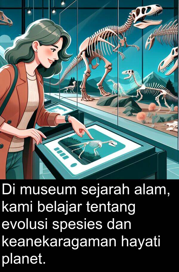 hayati: Di museum sejarah alam, kami belajar tentang evolusi spesies dan keanekaragaman hayati planet.