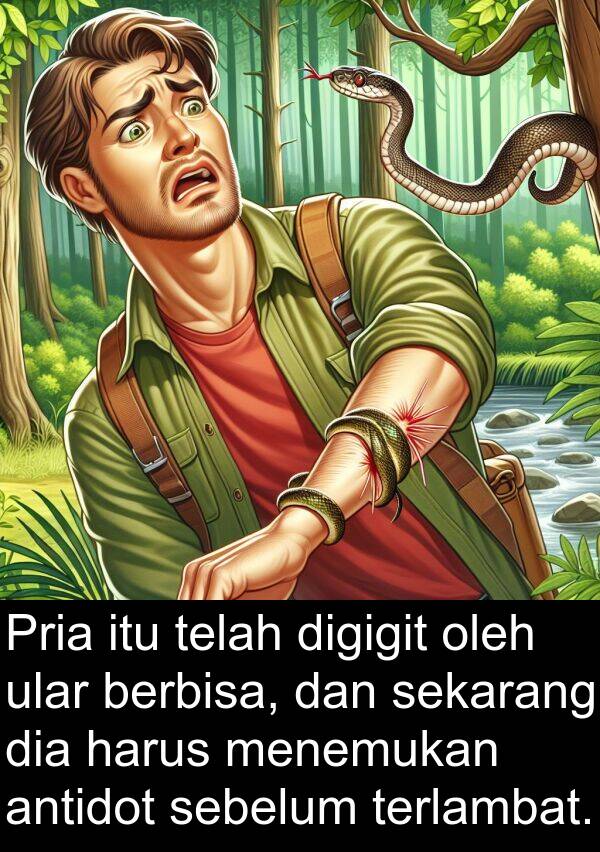 terlambat: Pria itu telah digigit oleh ular berbisa, dan sekarang dia harus menemukan antidot sebelum terlambat.