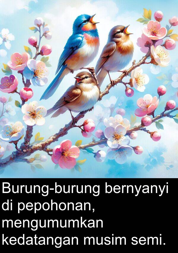 semi: Burung-burung bernyanyi di pepohonan, mengumumkan kedatangan musim semi.