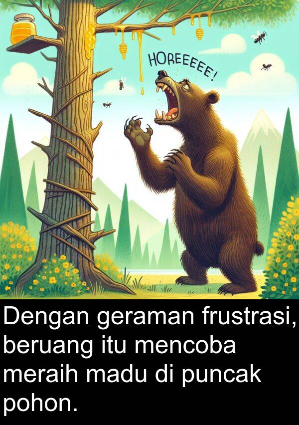 madu: Dengan geraman frustrasi, beruang itu mencoba meraih madu di puncak pohon.