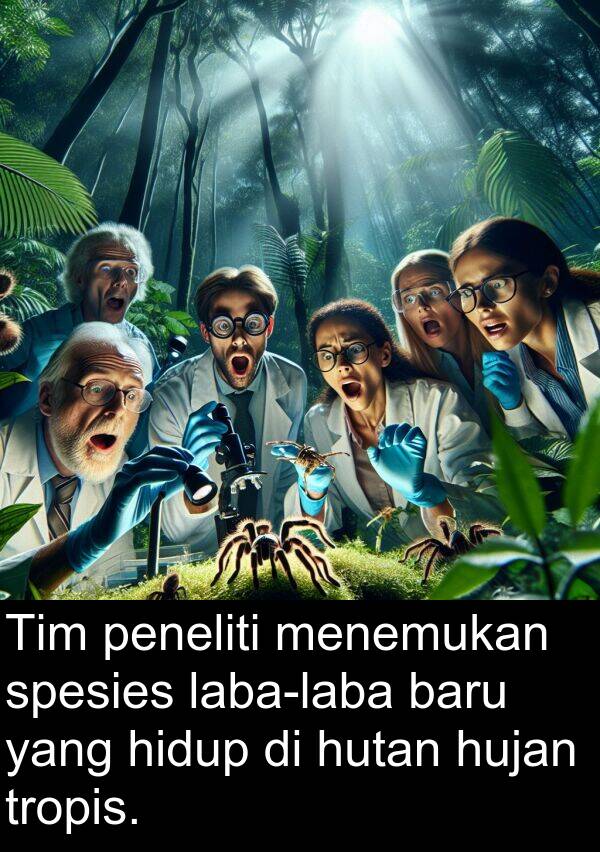 hutan: Tim peneliti menemukan spesies laba-laba baru yang hidup di hutan hujan tropis.