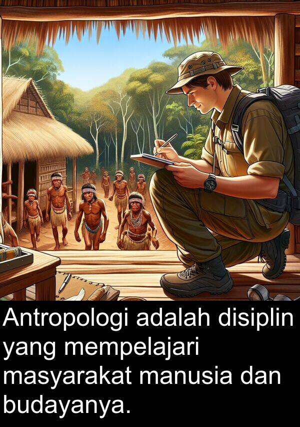 masyarakat: Antropologi adalah disiplin yang mempelajari masyarakat manusia dan budayanya.