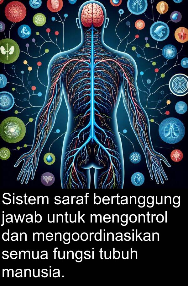 mengontrol: Sistem saraf bertanggung jawab untuk mengontrol dan mengoordinasikan semua fungsi tubuh manusia.