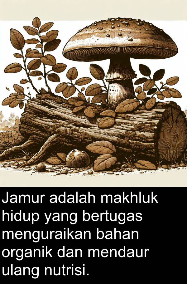 nutrisi: Jamur adalah makhluk hidup yang bertugas menguraikan bahan organik dan mendaur ulang nutrisi.