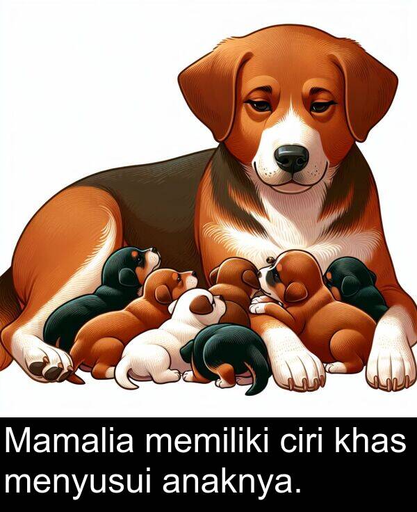 menyusui: Mamalia memiliki ciri khas menyusui anaknya.
