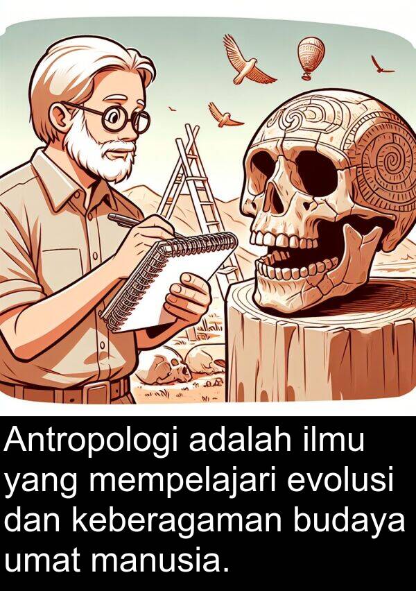 evolusi: Antropologi adalah ilmu yang mempelajari evolusi dan keberagaman budaya umat manusia.