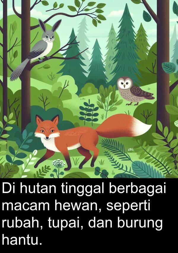 hutan: Di hutan tinggal berbagai macam hewan, seperti rubah, tupai, dan burung hantu.