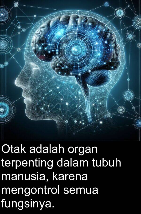 mengontrol: Otak adalah organ terpenting dalam tubuh manusia, karena mengontrol semua fungsinya.