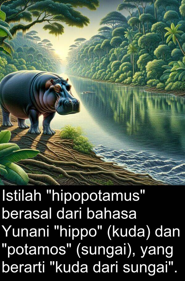 bahasa: Istilah "hipopotamus" berasal dari bahasa Yunani "hippo" (kuda) dan "potamos" (sungai), yang berarti "kuda dari sungai".