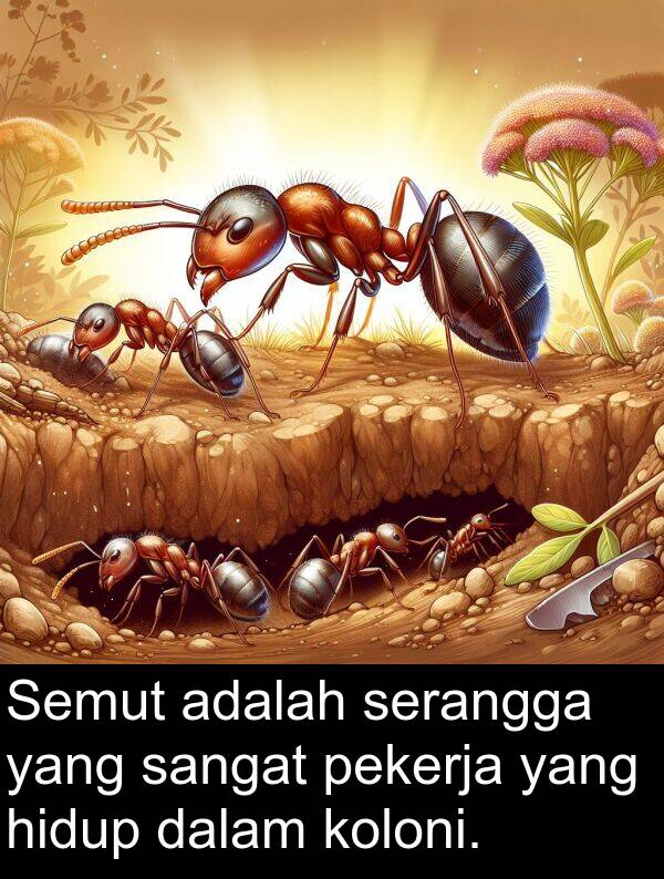 serangga: Semut adalah serangga yang sangat pekerja yang hidup dalam koloni.