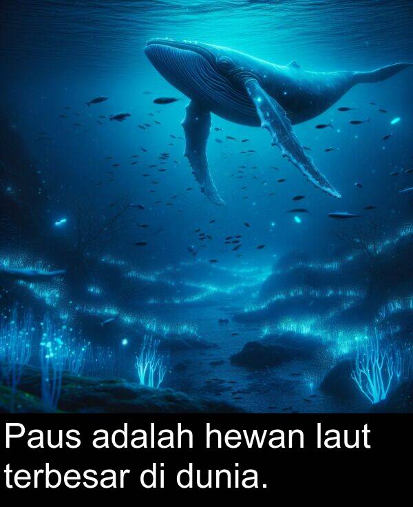hewan: Paus adalah hewan laut terbesar di dunia.