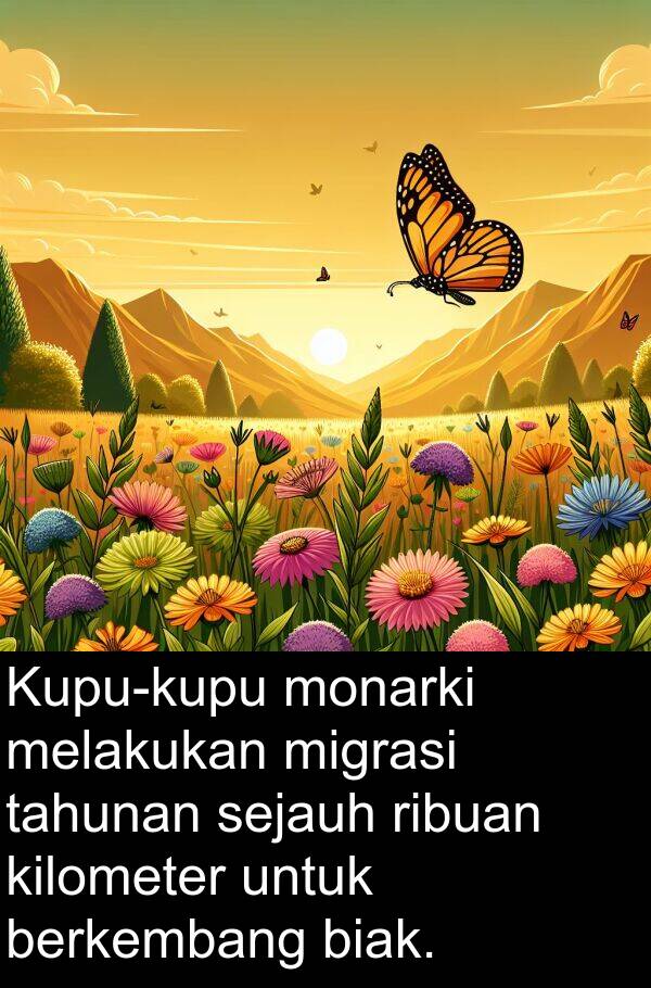 sejauh: Kupu-kupu monarki melakukan migrasi tahunan sejauh ribuan kilometer untuk berkembang biak.