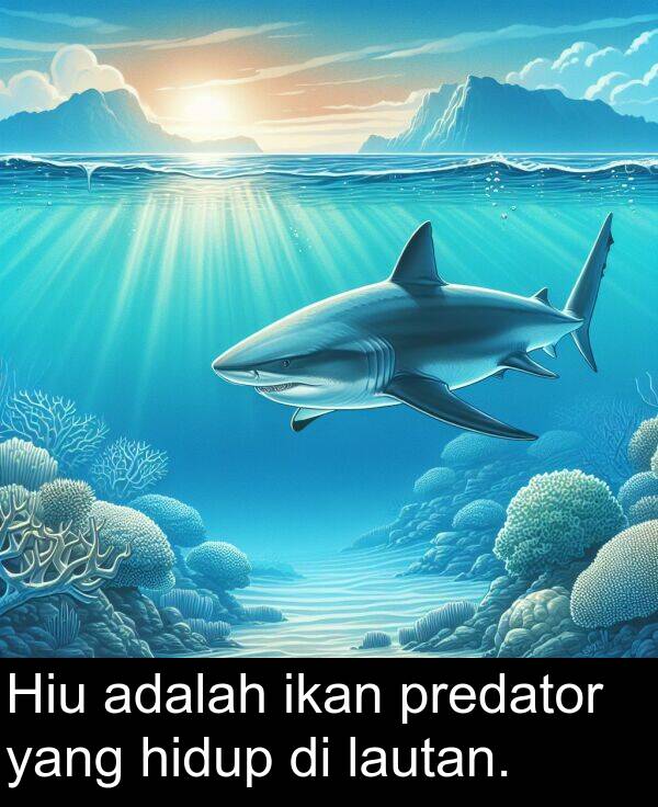 hidup: Hiu adalah ikan predator yang hidup di lautan.