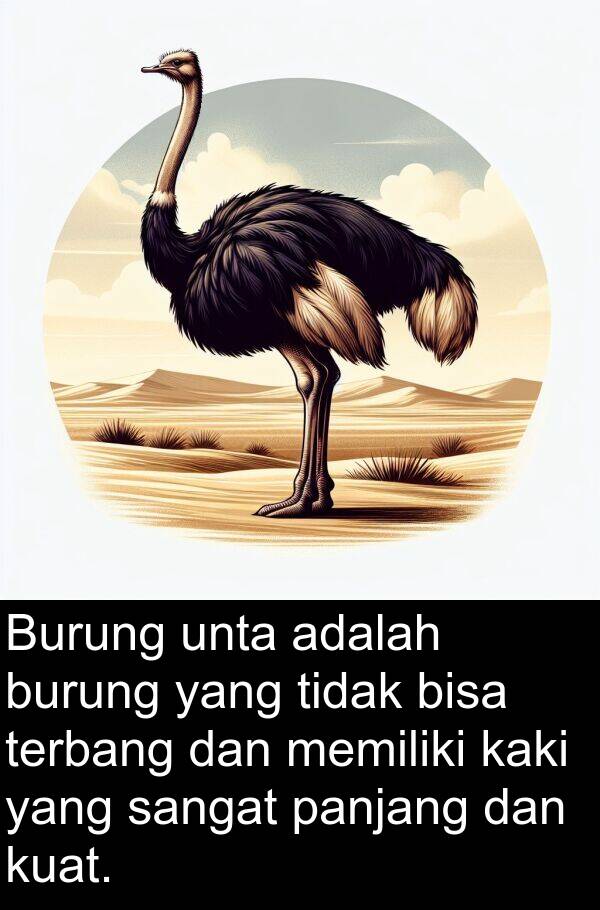 panjang: Burung unta adalah burung yang tidak bisa terbang dan memiliki kaki yang sangat panjang dan kuat.