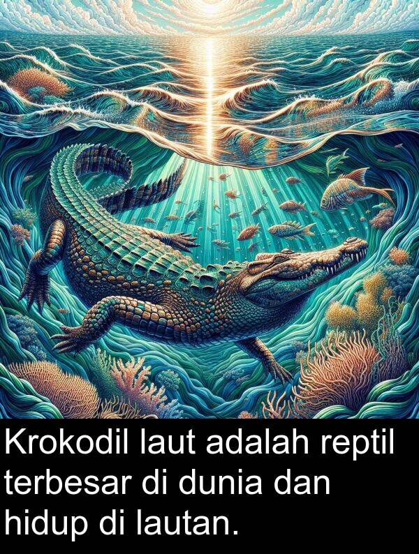 terbesar: Krokodil laut adalah reptil terbesar di dunia dan hidup di lautan.