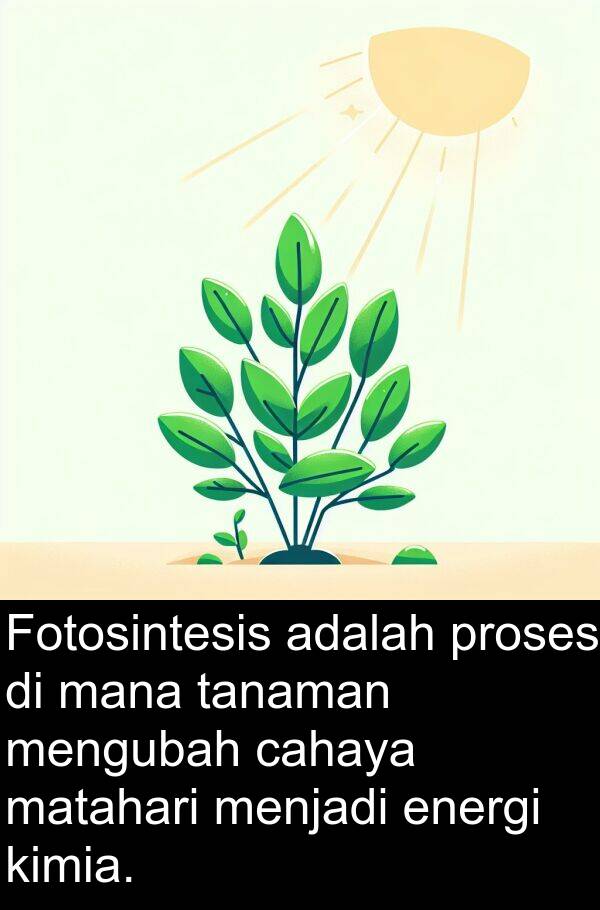 energi: Fotosintesis adalah proses di mana tanaman mengubah cahaya matahari menjadi energi kimia.
