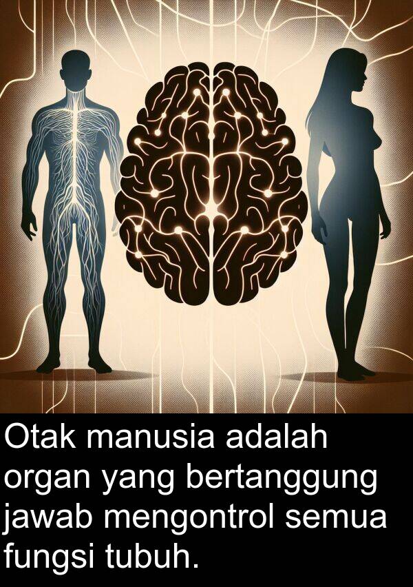 mengontrol: Otak manusia adalah organ yang bertanggung jawab mengontrol semua fungsi tubuh.