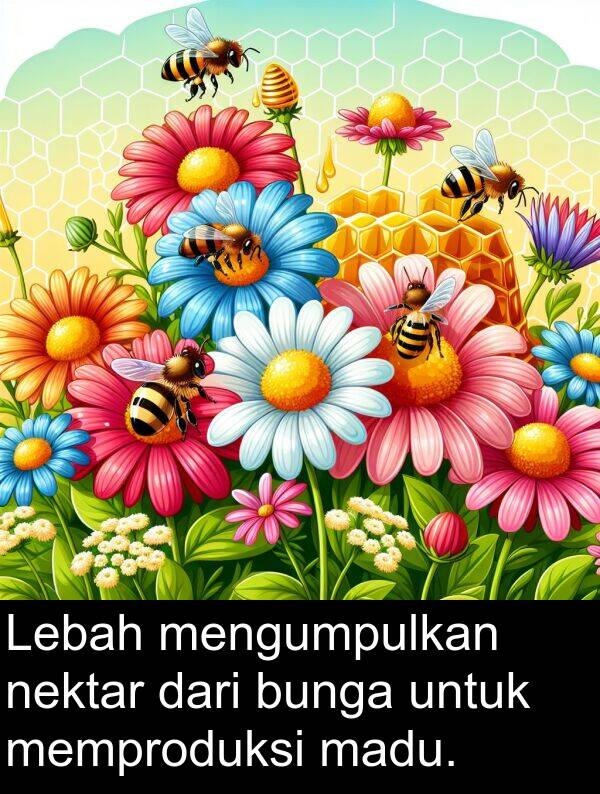 madu: Lebah mengumpulkan nektar dari bunga untuk memproduksi madu.