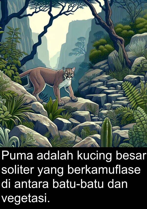 vegetasi: Puma adalah kucing besar soliter yang berkamuflase di antara batu-batu dan vegetasi.