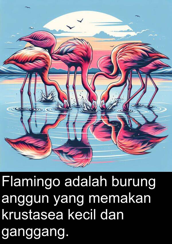 memakan: Flamingo adalah burung anggun yang memakan krustasea kecil dan ganggang.
