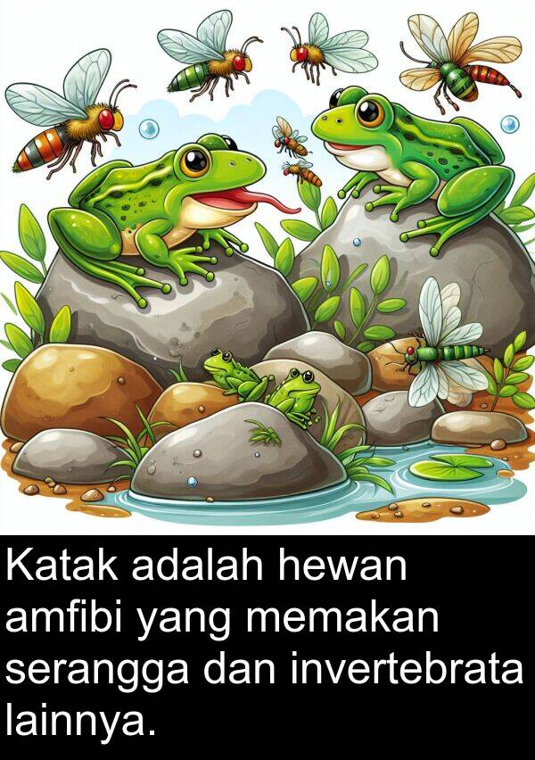 serangga: Katak adalah hewan amfibi yang memakan serangga dan invertebrata lainnya.