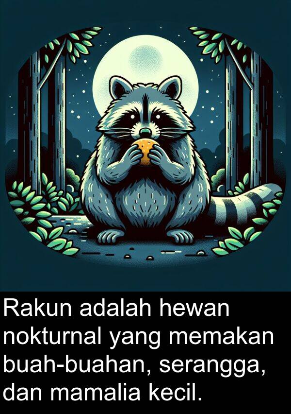 serangga: Rakun adalah hewan nokturnal yang memakan buah-buahan, serangga, dan mamalia kecil.