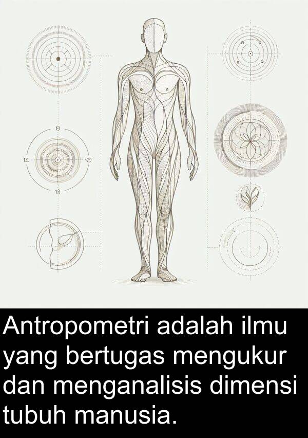 ilmu: Antropometri adalah ilmu yang bertugas mengukur dan menganalisis dimensi tubuh manusia.