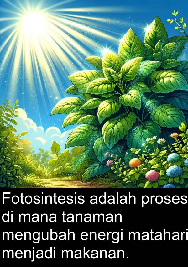 energi: Fotosintesis adalah proses di mana tanaman mengubah energi matahari menjadi makanan.