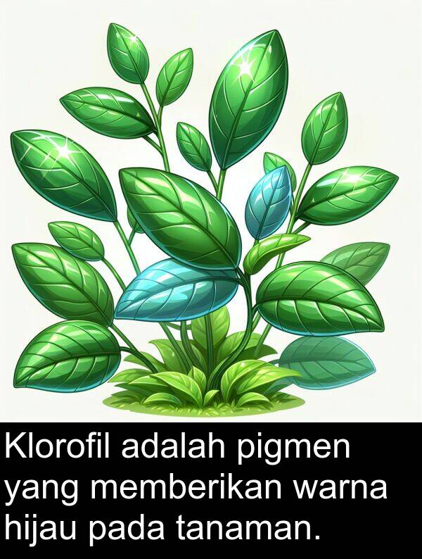 tanaman: Klorofil adalah pigmen yang memberikan warna hijau pada tanaman.
