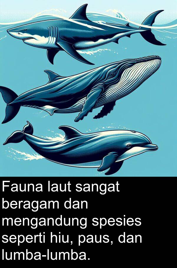hiu: Fauna laut sangat beragam dan mengandung spesies seperti hiu, paus, dan lumba-lumba.