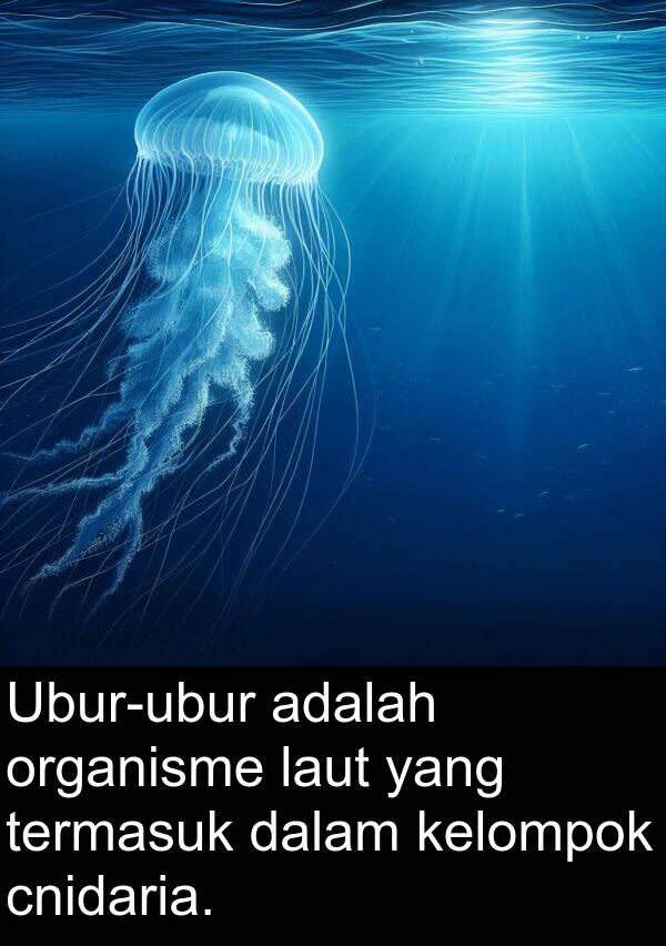 termasuk: Ubur-ubur adalah organisme laut yang termasuk dalam kelompok cnidaria.