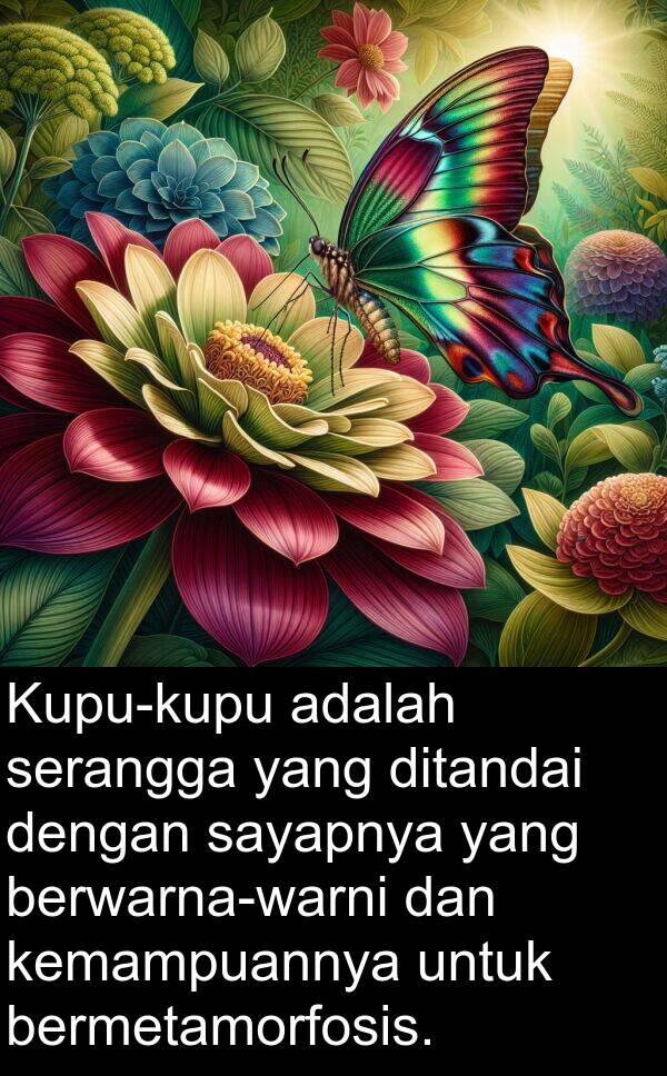 serangga: Kupu-kupu adalah serangga yang ditandai dengan sayapnya yang berwarna-warni dan kemampuannya untuk bermetamorfosis.