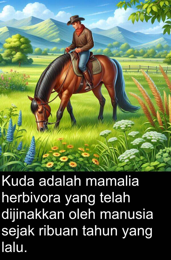 mamalia: Kuda adalah mamalia herbivora yang telah dijinakkan oleh manusia sejak ribuan tahun yang lalu.