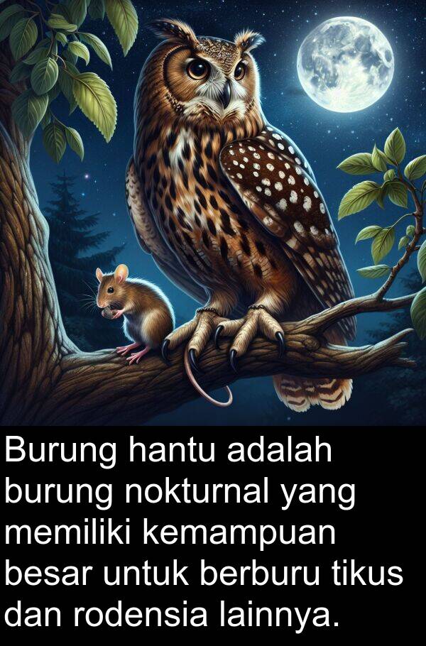 hantu: Burung hantu adalah burung nokturnal yang memiliki kemampuan besar untuk berburu tikus dan rodensia lainnya.