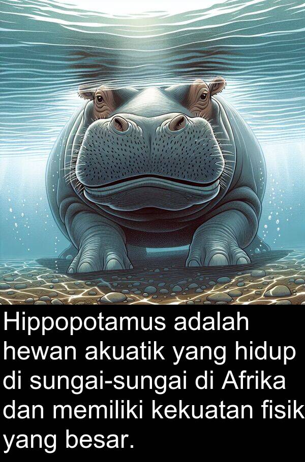 kekuatan: Hippopotamus adalah hewan akuatik yang hidup di sungai-sungai di Afrika dan memiliki kekuatan fisik yang besar.