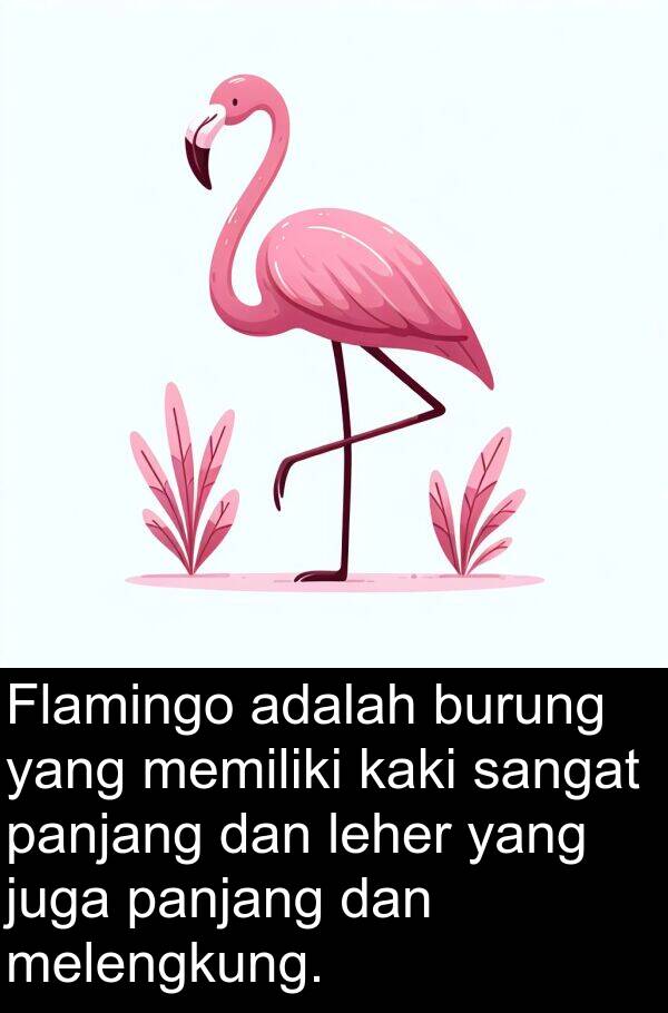 panjang: Flamingo adalah burung yang memiliki kaki sangat panjang dan leher yang juga panjang dan melengkung.