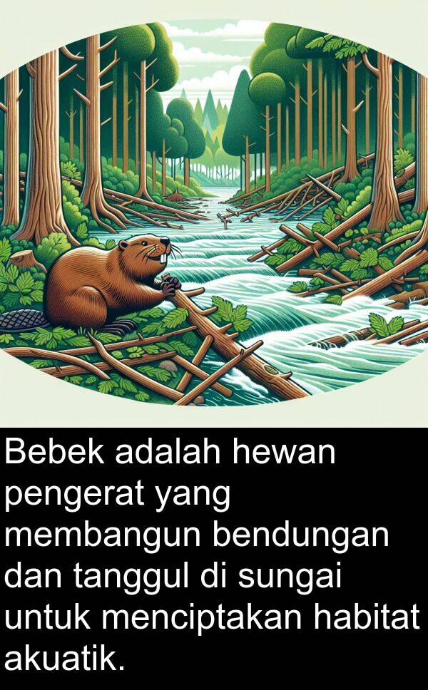 habitat: Bebek adalah hewan pengerat yang membangun bendungan dan tanggul di sungai untuk menciptakan habitat akuatik.