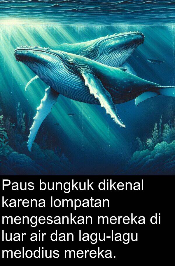 melodius: Paus bungkuk dikenal karena lompatan mengesankan mereka di luar air dan lagu-lagu melodius mereka.