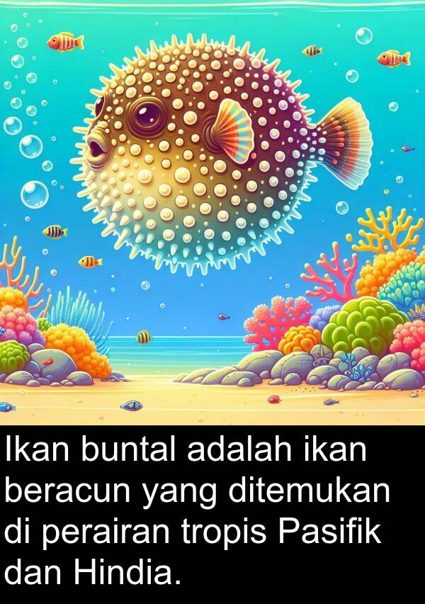 ikan: Ikan buntal adalah ikan beracun yang ditemukan di perairan tropis Pasifik dan Hindia.