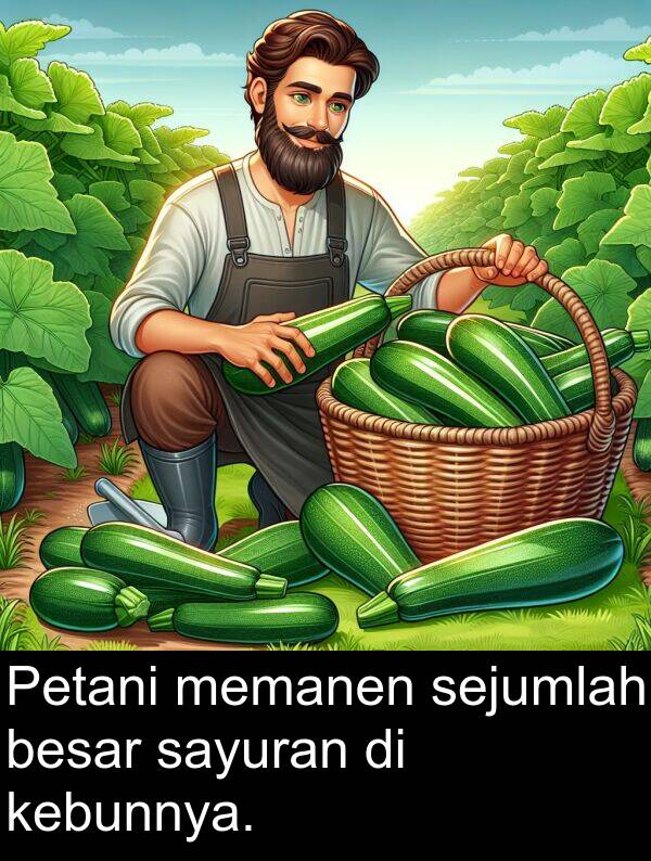 sejumlah: Petani memanen sejumlah besar sayuran di kebunnya.