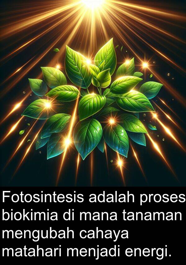 energi: Fotosintesis adalah proses biokimia di mana tanaman mengubah cahaya matahari menjadi energi.