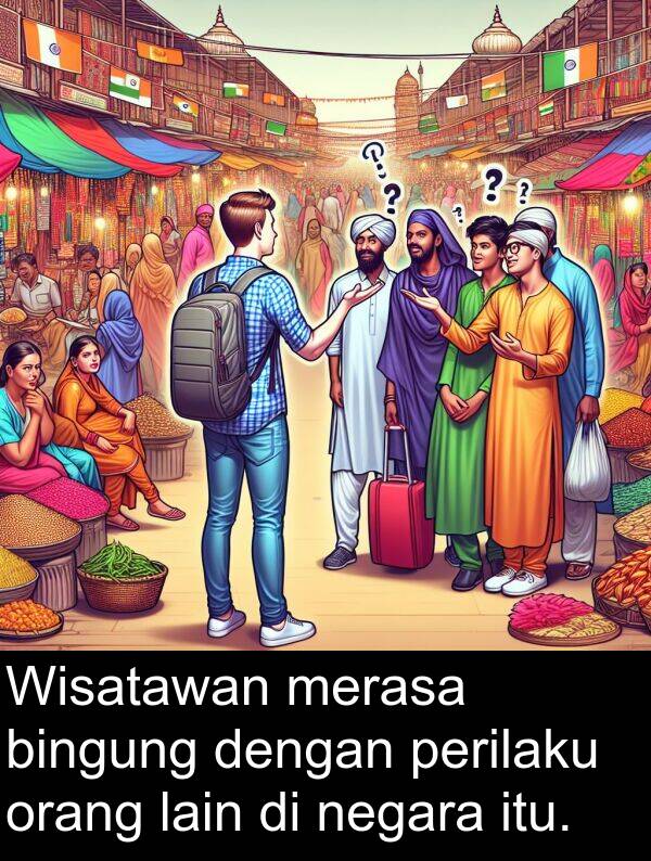 lain: Wisatawan merasa bingung dengan perilaku orang lain di negara itu.
