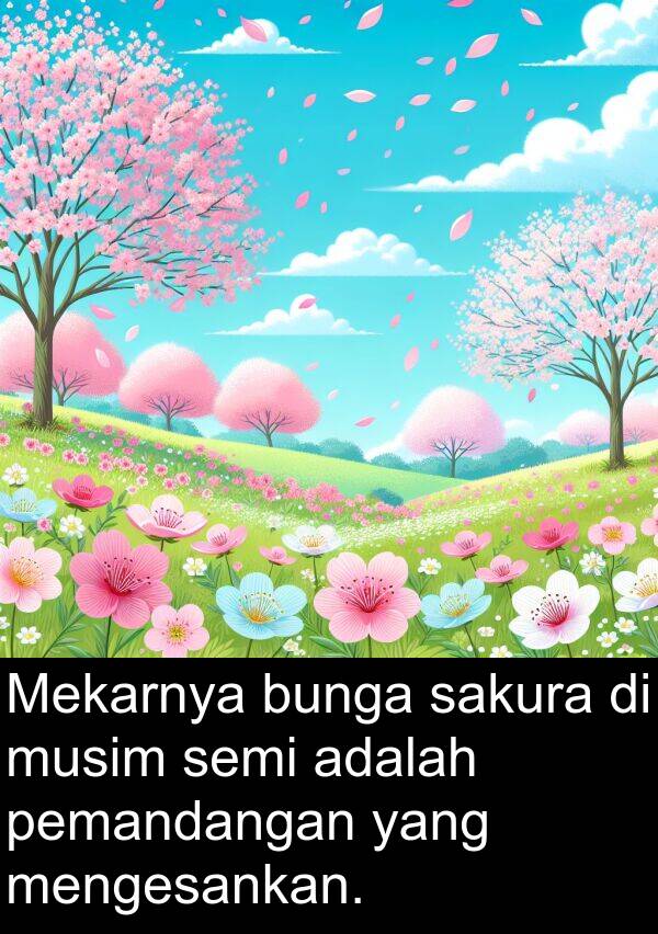 sakura: Mekarnya bunga sakura di musim semi adalah pemandangan yang mengesankan.