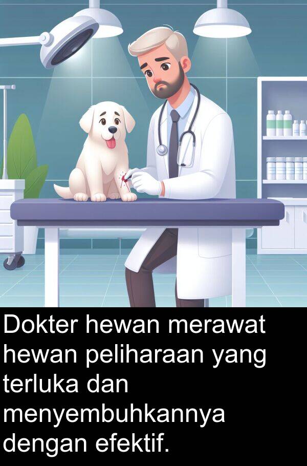 terluka: Dokter hewan merawat hewan peliharaan yang terluka dan menyembuhkannya dengan efektif.