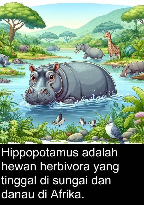 hewan: Hippopotamus adalah hewan herbivora yang tinggal di sungai dan danau di Afrika.